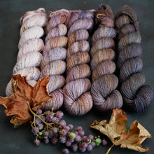 Load image into Gallery viewer, Harvest Moon September Fade - Sock/Sparkle/DK/DK Sparkle - 5 x 20/50/100g's