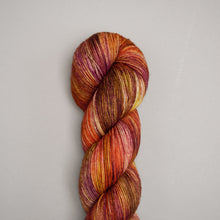 Load image into Gallery viewer, Season&#39;s Turn- Sock - 100g Skein