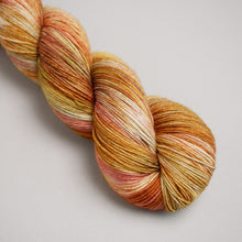 Load image into Gallery viewer, Harvest Home - Sock - 100g Skein
