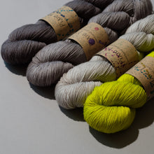 Load image into Gallery viewer, MusiKAL- 4 Skein Set - Sock 100g