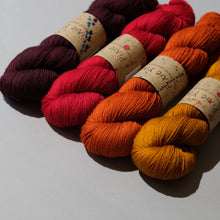 Load image into Gallery viewer, MusiKAL- 4 Skein Set - Sock 100g