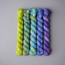 Load image into Gallery viewer, BFL SPRING EQUINOX - QUARTERLY YARN CLUB 2023