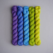 Load image into Gallery viewer, BFL SPRING EQUINOX - QUARTERLY YARN CLUB 2023