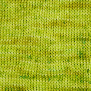BFL SPRING EQUINOX - QUARTERLY YARN CLUB 2023