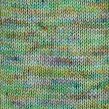 Load image into Gallery viewer, BFL SPRING EQUINOX - QUARTERLY YARN CLUB 2023