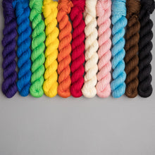 Load image into Gallery viewer, Progressive Pride Flag - Sock 11 x 20g Mini