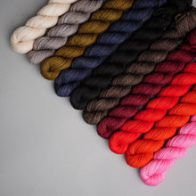 Load image into Gallery viewer, Forest Whispers  - 10 Skein 20g Mini Set
