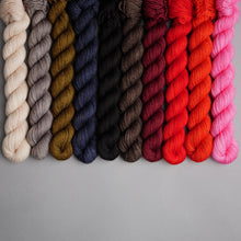 Load image into Gallery viewer, Forest Whispers  - 10 Skein 20g Mini Set