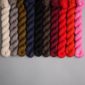 Forest Whispers  - 10 Skein 20g Mini Set