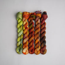 Load image into Gallery viewer, Autumn Faves - Sock - 5 x 20/50g Set
