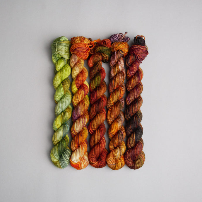 Autumn Faves - Sock - 5 x 20/50g Set