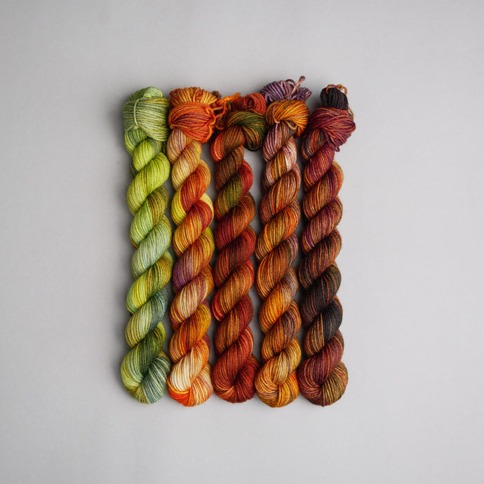 Autumn Faves - Sock - 5 x 20 Set