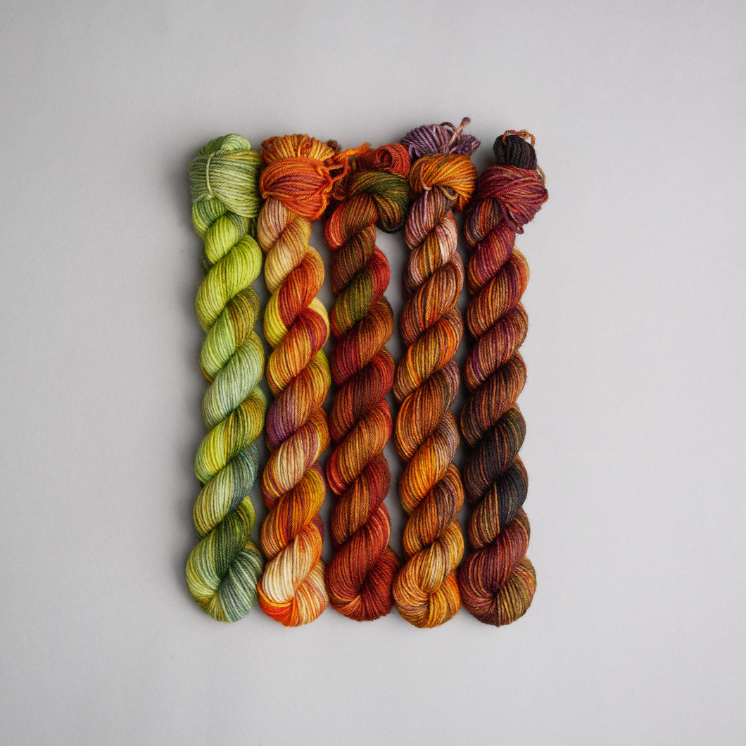 Autumn Faves - Sock - 5 x 20/50g Set