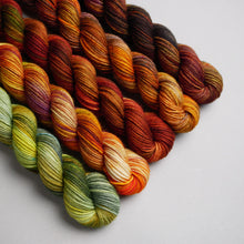 Load image into Gallery viewer, Autumn Faves - Sock - 5 x 20/50g Set
