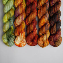 Load image into Gallery viewer, Autumn Faves - Sock - 5 x 20/50g Set