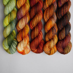 Autumn Faves - Sock - 5 x 20/50g Set