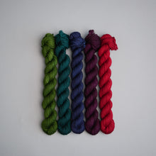 Load image into Gallery viewer, Winter Faves Solids - Sock - 5 x 20g Set