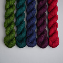 Load image into Gallery viewer, Winter Faves Solids - Sock - 5 x 20g Set
