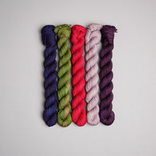 Load image into Gallery viewer, DECEMBER - BRIAN WILDSMITH YARN CLUB