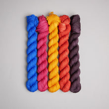 Load image into Gallery viewer, NOVEMBER - BRIAN WILDSMITH YARN CLUB