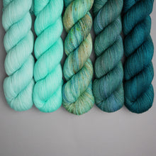 Load image into Gallery viewer, Hiberknit Along - Sock - 5 x 100g Fade