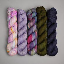 Load image into Gallery viewer, Hiberknit Along - Sock - 5 x 100g Fade