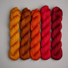 Load image into Gallery viewer, Hiberknit Along - Sock - 5 x 100g Fade