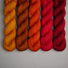 Load image into Gallery viewer, Hiberknit Along - Sock - 5 x 100g Fade