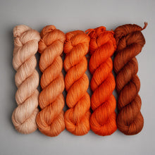 Load image into Gallery viewer, Hiberknit Along - Sparkle Sock - 5 x 100g Fade