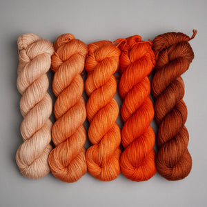 Hiberknit Along - Sparkle Sock - 5 x 100g Fade