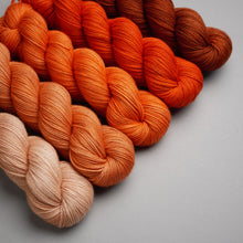 Load image into Gallery viewer, Hiberknit Along - Sparkle Sock - 5 x 100g Fade