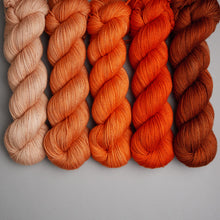 Load image into Gallery viewer, Hiberknit Along - Sparkle Sock - 5 x 100g Fade