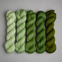 Load image into Gallery viewer, Hiberknit Along - Sock - 5 x 100g Fade