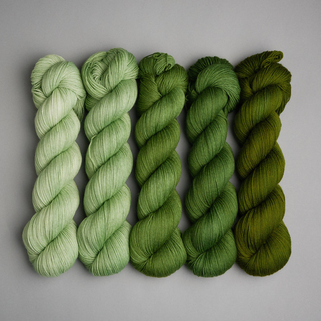 Hiberknit Along - Sock - 5 x 100g Fade