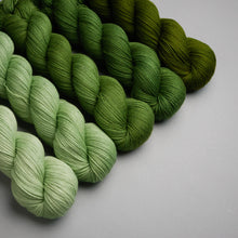 Load image into Gallery viewer, Hiberknit Along - Sock - 5 x 100g Fade