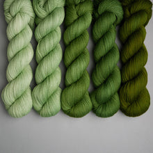 Load image into Gallery viewer, Hiberknit Along - Sock - 5 x 100g Fade