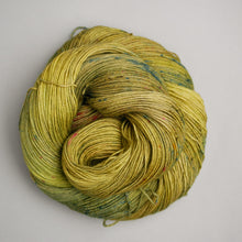 Load image into Gallery viewer, Shute shelve - Sock - 100g Skein