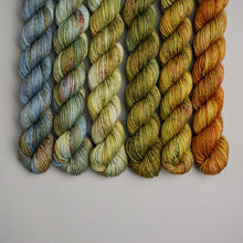 Load image into Gallery viewer, FOOTSTEPS 1 - QUARTERLY YARN CLUB 2024