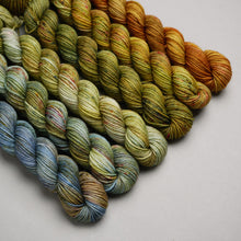 Load image into Gallery viewer, FOOTSTEPS 1 - QUARTERLY YARN CLUB 2024