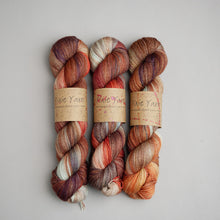 Load image into Gallery viewer, Reclamation Yard - Sock - 100g Skein