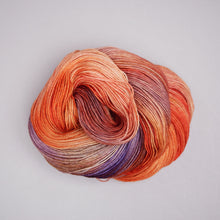 Load image into Gallery viewer, Junkyard - Sock - 100g Skein