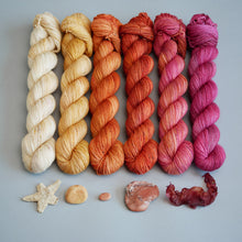 Load image into Gallery viewer, ROOTS 1 - QUARTERLY YARN CLUB 2025