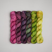 Load image into Gallery viewer, ROOTS 2 - QUARTERLY YARN CLUB 2025