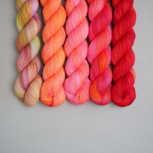 Load image into Gallery viewer, Summer - Hootie Patootie Fade - Sock/DK - 5 x 20/50g