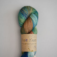 Load image into Gallery viewer, Various - Sock - 100g Skein