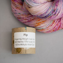 Load image into Gallery viewer, Pip - Sock - 100g Skein