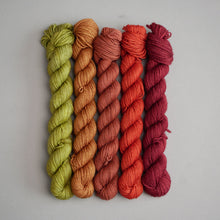Load image into Gallery viewer, Mix n Match - Sock 20g