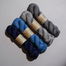Load image into Gallery viewer, MusiKAL- 4 Skein Set - Sock 100g