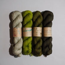 Load image into Gallery viewer, MusiKAL- 4 Skein Set - Sock 100g