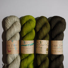 Load image into Gallery viewer, MusiKAL- 4 Skein Set - Sock 100g